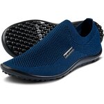 Leguano Scio Azul