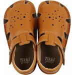 Tikki Aranya Mostaza