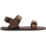 Xero Shoes D-Trail 男士用品 Cocoa Brown / Java Brown (棕色)