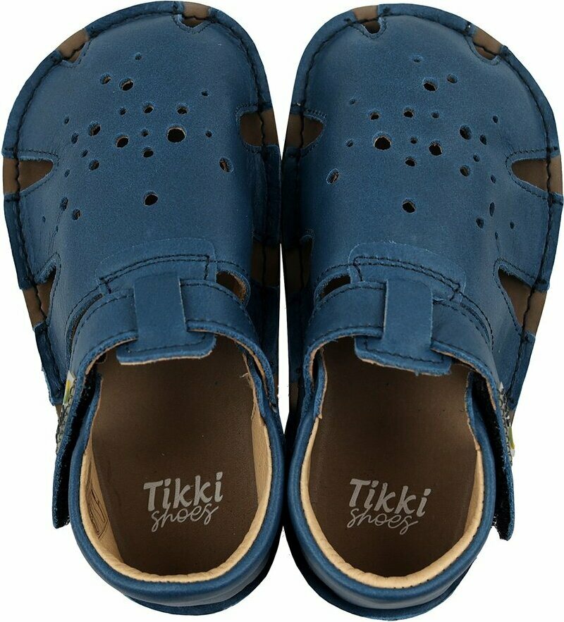 Tikki Aranya Sinine
