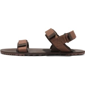 Xero Shoes D-Trail 男士用品