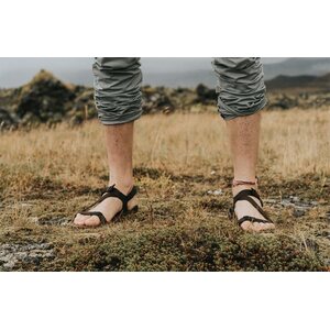 Xero Shoes Z-Trail EV de hombres