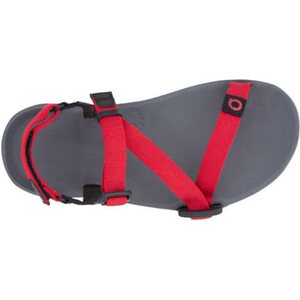 Xero Shoes Z-Trail de niños