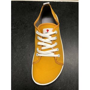 Anatomic tenis