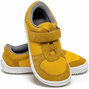Be Lenka Joy ( 2023 colours)