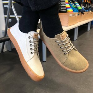 Froddo tenis